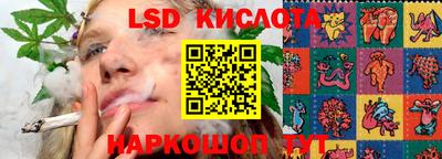 PSILOCYBIN Краснодар