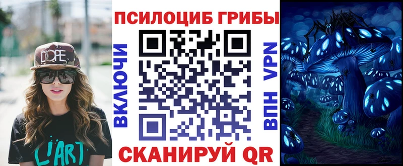 Псилоцибиновые грибы прущие грибы  магазин    Урус-Мартан 