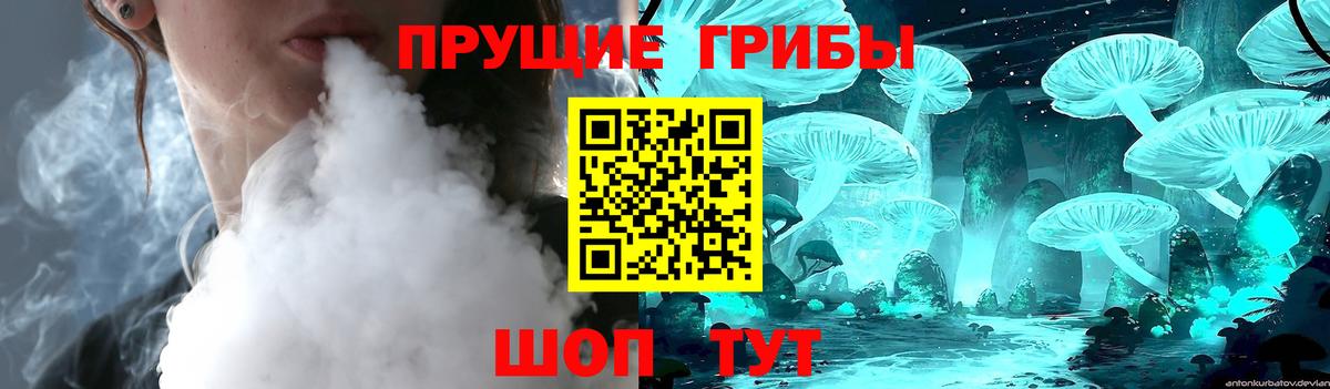 Галлюциногенные грибы Psilocybine cubensis  Урус-Мартан 